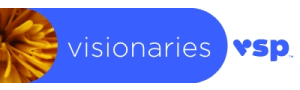 Vsp Visionaries